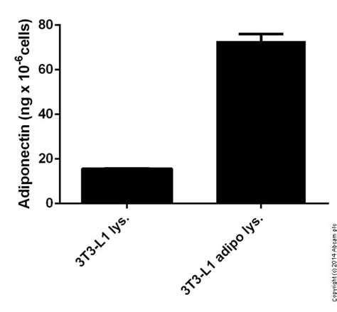 Rat Adiponectin ELISA Kit (ab108784) 